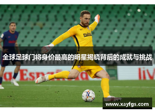 全球足球门将身价最高的明星揭晓背后的成就与挑战