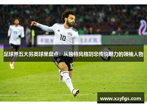 足球界五大另类球星盘点：从独特风格到非传统魅力的领袖人物